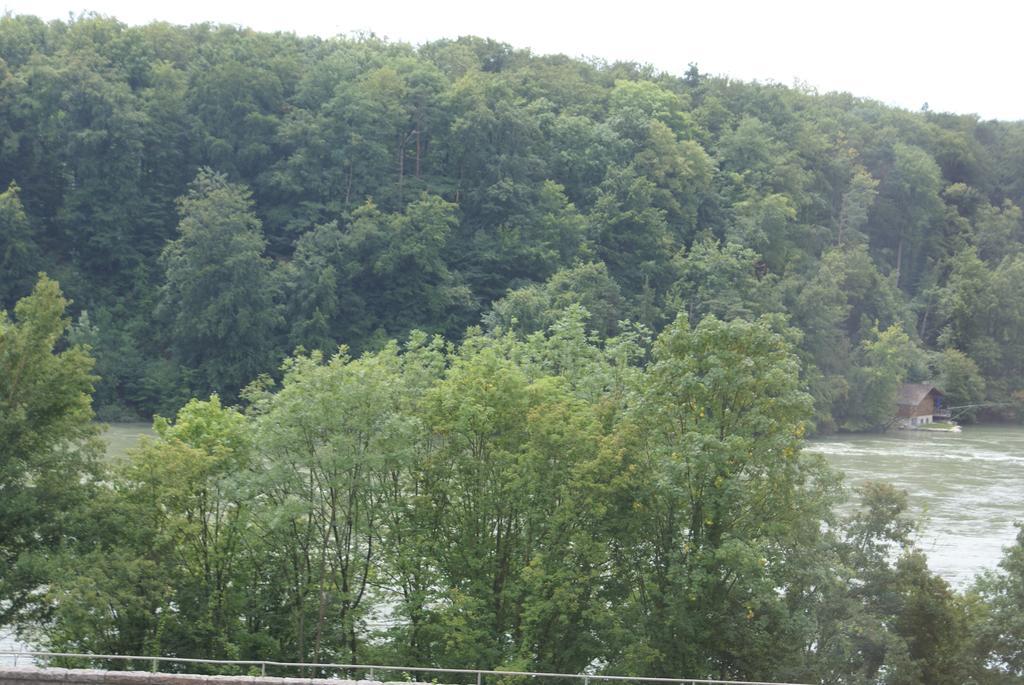 Hotel Storchen Rheinfelden  Extérieur photo